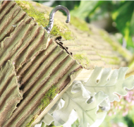 �t�����[�T�C��