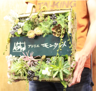 �t�����[�T�C��