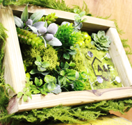 �t�����[�T�C��