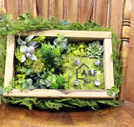 �t�����[�T�C��