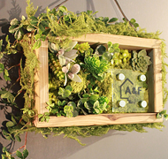 �t�����[�T�C��