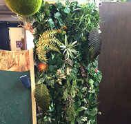 �t�����[�T�C��