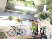 �f�U�C��������