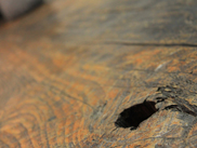 �f�U�C��������